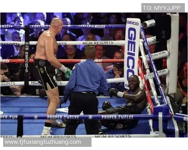 卡利杰与斯霍拉的巅峰对决谁将成为新一代拳坛霸主